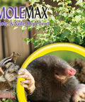 Mole And Vole Repellent Granules For Lawn And Garden 10 Pound Ready To Use Outdoor Pest Control That Keeps Critters Out
