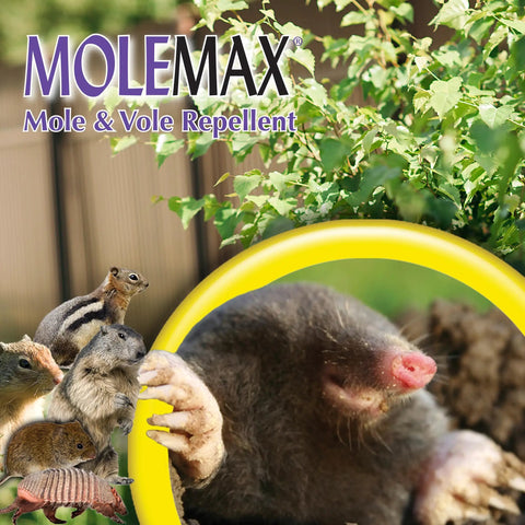 Mole And Vole Repellent Granules For Lawn And Garden 10 Pound Ready To Use Outdoor Pest Control That Keeps Critters Out