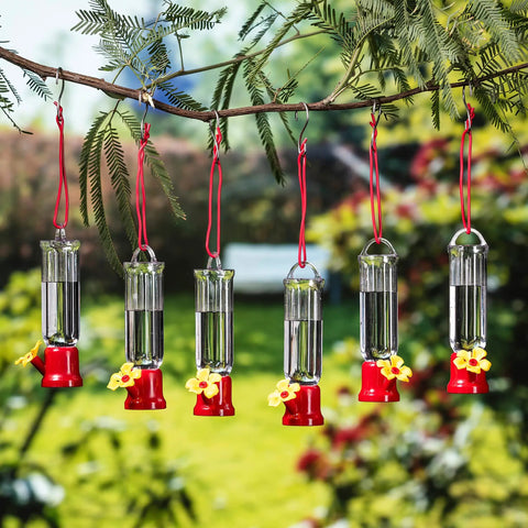 Set Of 6 Mini Hummingbird Feeders With Hanging Wires, Transparent Outdoor Hummingbird Feeder Set With Flower Shaped Sipping Outlet, Includes 3 Cleaning Brushes For Easy Cleaning On Patio, Lawn, Garden And Backyard hanging from a tree branch.