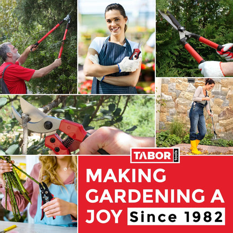 Collage showing use of Extendable Bypass Lopper With Compound Action For Tree Pruning, 27 To 40 Inch Telescopic Reach in gardening
