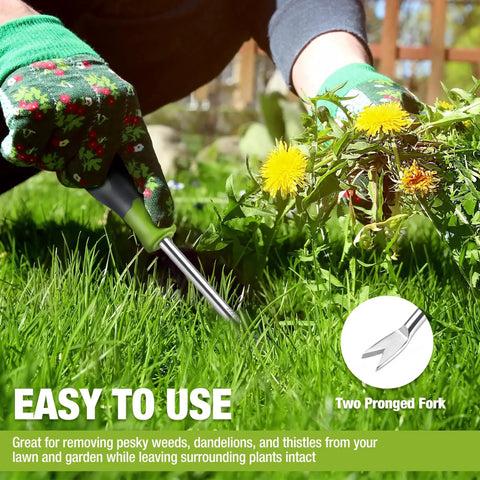 Gloved hands using 11.5 Inch Dandelion Weeder Puller Tool With Soft Grip Handle Stainless Steel Two Pronged Weeding Fork For Lawn Garden Farmland And Plant Beds Easy Root Removal on dandelions.