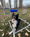 Backyard Dog Agility Set With 5 Piece Kit Featuring Bar Jump With Cup Strips Breakaway Tire Jump Weave Poles 10 Foot Tunnel and dog