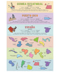 Five Poster Set Of Spanish Speaking Countries With Map For Classroom Learning 12 X 18 Inches Made In USA Great For K 12 Teachers And Students Covers Latin America Spain Puerto Rico And More, features countries' maps and facts.