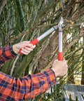 Using Forged Steel ClassicCUT Bypass Hand Pruner for Heavy Duty Garden Pruning on tree branch, cuts up to 3/4 inch thick stems.