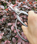 Pro Grade Bonsai Scissors 7.3 Inch For Pruning And Floral Arrangements cutting plant branches
