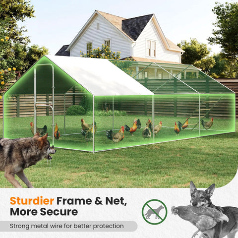 Metal Large Walk In Chicken Coop With Split Door And Roosting Perch, 10x20 Outdoor Poultry Run For Farm Yard Or Backyard, Security Lock