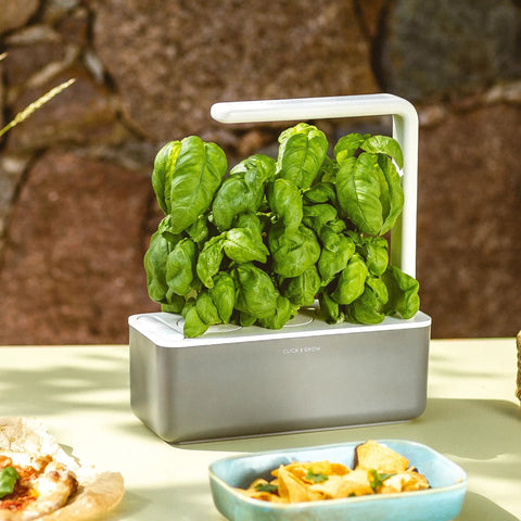 Smart Garden Basil Plant Pods 3 Pack For Indoor Herb Gardens No Green Thumb Needed Fresh Basil At Home Easy Nutritious Kitchen Herb Pods For Quick Flavorful Dishes