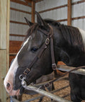 All Day Comfort Nylon Padded Browband Horse Headstall With Reins In Multiple Colors Full Size on horse indoors
