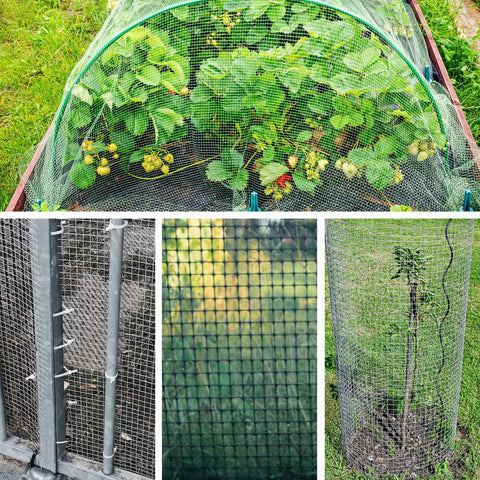 Tough As Nails 16In By 50Ft Hardware Cloth Mesh Half Inch 19 Gauge Galvanized for garden enclosure and poultry protection.