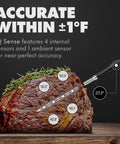 Smart Wireless Meat Thermometer With Ultra Thin Probe For Grill BBQ Oven Smoker And Air Fryer Real Time Internal Temp Five Sensors