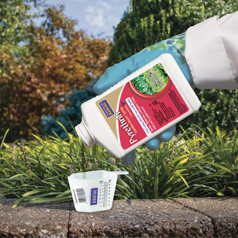 Gardener pouring Pyrethrin Garden Insect Spray Concentrate 8 Oz Ready To Mix Fast Acting Insecticide into measuring cup outdoors