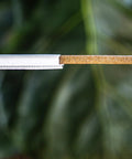 Agave Fiber Straws 1000 Count Individually Wrapped 8.2 Inch Biodegradable Eco Friendly Plant Based Reusable Alternative To Paper And Plastic Straws For Everyday Kitchen And Bar Use, wrapped straw close-up