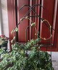 4 Pack 24 Inch Metal Garden Trellises for Climbing Plants Indoors Outdoors with Vines, Black Trellis in Small Pot, Rust Resistant