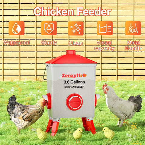 Three Point Six Gallon Chicken Feeder With Anti Roost Cone 3 Adjustable Height Locking Legs Four No Waste Ports for backyard.