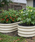 Two Piece Galvanized Raised Garden Bed Set For Outdoor Use With No Fuss Oval Metal Planter Boxes 4x2x1 Ft White Finish Great For Vegetables Herbs And Flowers Eco Friendly Coatings, filled with plants and vegetables.