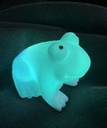 Ultra Cute Frog LED Night Light For Kids Room With Automatic Color Changing LEDs glowing in a dark environment