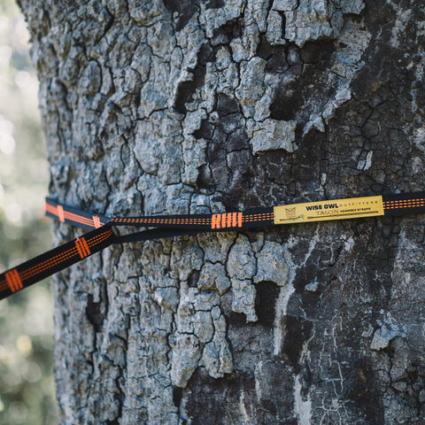 10ft Heavy Duty Hammock Straps for Trees with Carabiners 38 Loops and Hooks tied around tree trunk, close-up on label and stitching.