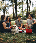 Be Smart Get Prepared 398pc Emergency First Aid Kit with included mini kit, red bag on park picnic with friends and dog
