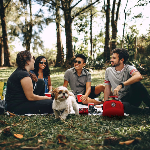 Be Smart Get Prepared 398pc Emergency First Aid Kit with included mini kit, red bag on park picnic with friends and dog