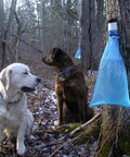 Two dogs sitting near a tree with blue sap collection sacks, showcasing the Ultimate Maple Syrup Tapping Kit for First Timers.