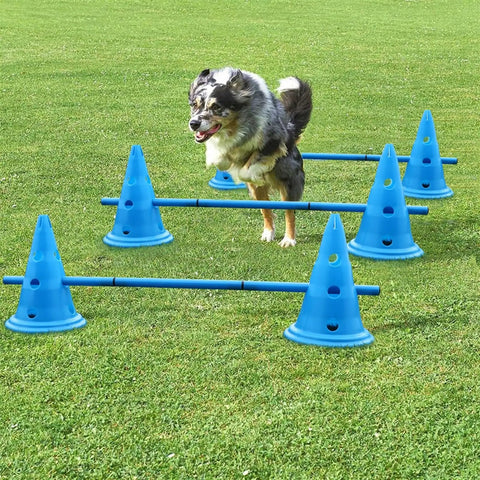 Dog jumps over Rugged Outdoor Dog Training Stakes Portable Agility Pole Set For Running Jumping And Fetch Practice Durable Plastic Poles In Blue For Easy Setup And Training Sessions