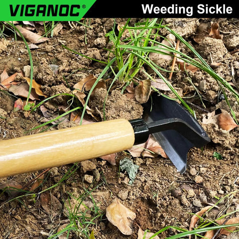 Wide Blade Garden Hoe With 9.6 Inch Wood Handle And 4.9 Inch Japanese High Carbon Steel Blade in garden setting
