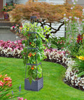 Yard Friendly Raised Garden Bed With Tomato Planter Box Trellis For Patio And Indoor Outdoor Gardening in garden setting