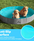 Foldable Dog Pool Portable Hard Plastic Kiddie Bath Tub For Pets And Kids Anti Slip Collapsible Indoor Outdoor Backyard Use Gray 71 Inch By 12 Inch with dogs