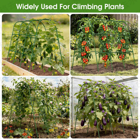 U Shaped Garden Trellis for Climbing Plants and Cucumbers in Raised Beds, showing rustproof stainless core with plastic coating