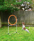 Dog jumping through 2 In 1 Adjustable Dog Agility Jump Set With Carry Bag Tire Jump Ring Or Hurdle Bar Quick Setup Portable Backyard Obstacle