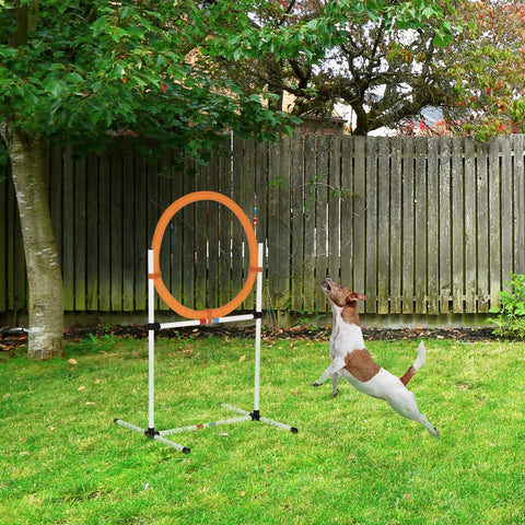 Dog jumping through 2 In 1 Adjustable Dog Agility Jump Set With Carry Bag Tire Jump Ring Or Hurdle Bar Quick Setup Portable Backyard Obstacle