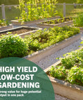 Raised garden beds with herbs and vegetables, highlighting high yield, low-cost gardening options for home use.