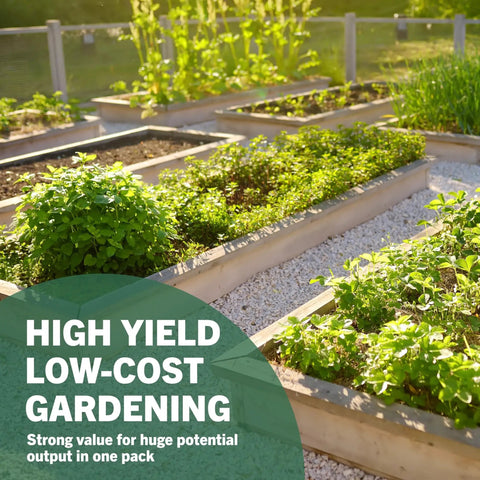 Raised garden beds with herbs and vegetables, highlighting high yield, low-cost gardening options for home use.