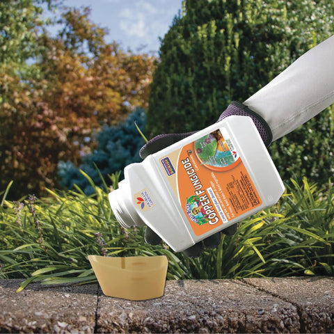 Liquid Copper Fungicide Concentrate For Organic Garden Disease Control 16 Oz being poured into measuring cup in garden