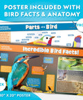 Fun DIY Wooden Birdhouse Kit For Kids And Families Build Your Own Birdhouse With Pre Cut Pieces And Paints For A Hands On Outdoor Habitat Project And Cozy Family Craft, poster included