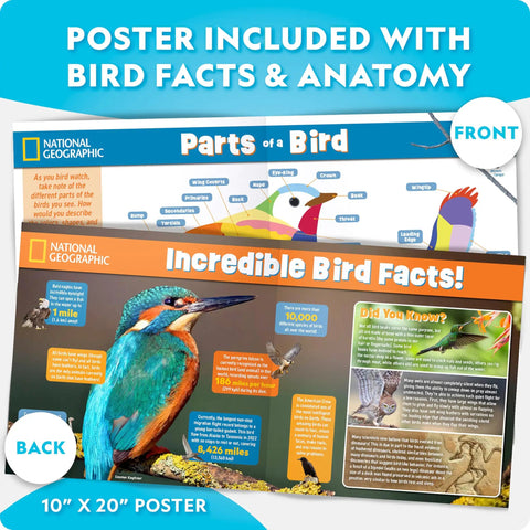 Fun DIY Wooden Birdhouse Kit For Kids And Families Build Your Own Birdhouse With Pre Cut Pieces And Paints For A Hands On Outdoor Habitat Project And Cozy Family Craft, poster included