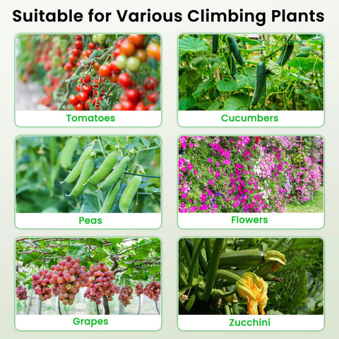Various climbing plants supported by Cucumber Trellis 35 Inch By 50 Inch A Frame Garden Trellis For Climbing Plants Outdoor Foldable Plant Support Heavy Duty For Vines Vegetables Tomatoes Zucchini Peas Raised Beds