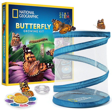 Butterfly Habitat Kit With Voucher For Five Caterpillars, Includes Mesh Cage With See Through Lid, Decoratable Feeder With Stickers