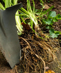 Heavy Duty Garden Shovel With Serrated Blade For Root Cutting And Digging In Tough Soil, Ergonomic Steel Spade in use