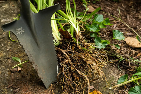 Heavy Duty Garden Shovel With Serrated Blade For Root Cutting And Digging In Tough Soil, Ergonomic Steel Spade in use