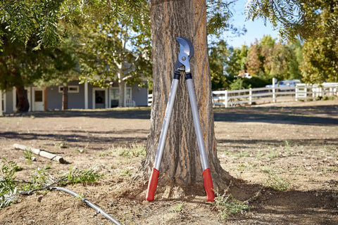 Super Duty 32 Inch Bypass Lopper With MAXFORGED Steel leaning against a tree in a sunny garden
