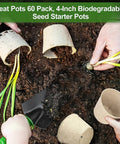 60 Pack 4 Inch Peat Pots With Drainage Holes For Seed Starting And Germination Biodegradable Paper Nursery Pots In Use