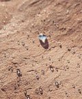 Water droplets on concrete showing effect of Ultimate Sealant Invisible Water Repellent Coating for Concrete and Masonry Porous Surfaces SiO2 Nano
