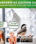 Window Bird Feeder For Outdoors Weatherproof Transparent Acrylic With Enhanced Suction Grip