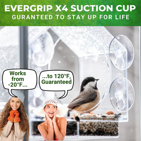 Window Bird Feeder For Outdoors Weatherproof Transparent Acrylic With Enhanced Suction Grip