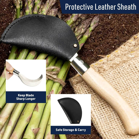 8 Inch Hand Sickle Hawkbill Garden Knife with Beechwood Handle for harvesting, shown with leather sheath on asparagus pile.