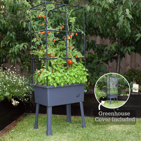 Self Watering Vertical Garden Tower With Trellis Frame And Greenhouse Cover For Vegetables And Flowers 4.35 Gallon Water Reservoir Keeps Plants Hydrated For Days No Fuss Indoor Or Outdoor Garden System For Busy Growers shown in a lush outdoor setting with visible tomatoes and basil growing.
