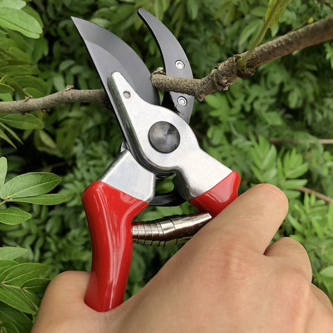 8 Inch Bypass Pruning Shears cutting branch in garden with drop forged steel, ergonomic non-slip red handles for bonsai trimming