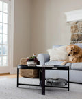 Living room with Robot Vacuum With Matrix Clean And Precision Mapping Self Empty Base With 30 Day Capacity Bagless Powerful Pet Hair Cleaning WiFi Enabled Black Renewed under the table.