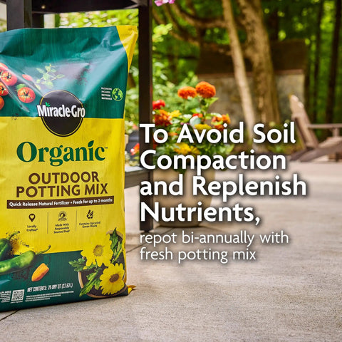 Organic Outdoor Potting Mix For Container Plants With Quick Release Natural Fertilizer, OMRI Listed, 16 Qt bag on patio